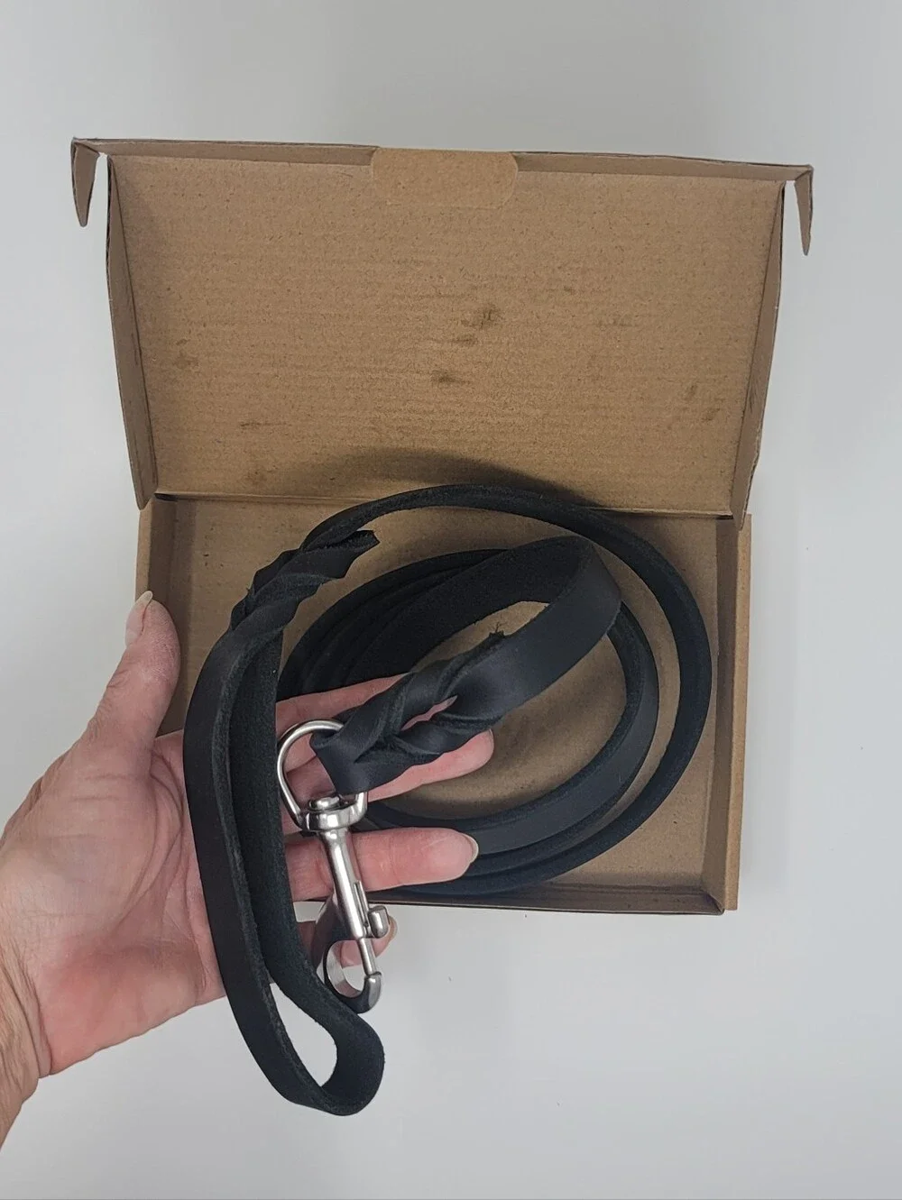 🆕️ Guiding Star Leather Dog Leash 6ft in Black